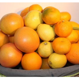 CIstella Alcanar de citrics ECO 7,5 kg