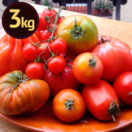 Tomata assortiment de varietats ECO de Rupià 3kg