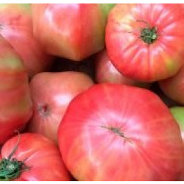 Tomata Barbastro ECO de Rupià 1kg