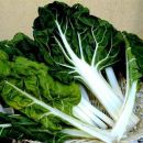 Bledes ECO de Rupià 1 kg