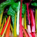 Bledes ECO de colors 1/2 Kg