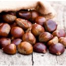 Castanya ECO de Viladrau 500 gr