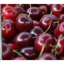Cirera Ruby ECO 500 GR