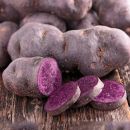 Hores de jardineria i manteniment