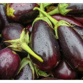 Alberginia negra ECO de Rupià 1kg