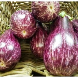 Alberginia Ratllada ECO de Rupià 1 kg