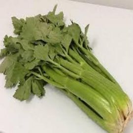 Api gran ECO de Rupià