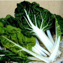 Bledes ECO de Rupià 1 kg