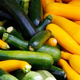 Carbassó ECO Sortit 2 kg de Rupià