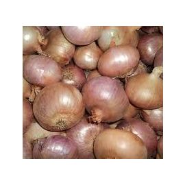 Ceba de figueres ECO de Rupià 1kg