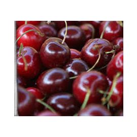 Cirera Ruby ECO 500 GR