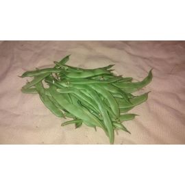 Mongeta Tendra plana de Juneda 500 gr