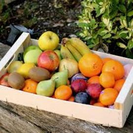 CIstella Montgrí de fruites ECO 4-6 persones