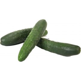 Cogombres ECO de Rupià ½kg