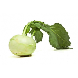 Colrave verd ECO de Rupià