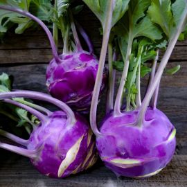 Colrave morat ECO de Rupià 1 unitat