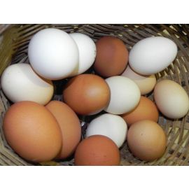 Ous de pagès de gallines feliçes 4u.