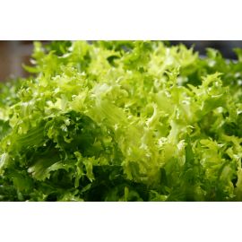 escarola eco unitat   de Rupia