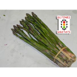 Esparrecs verds ECO de Rupià, manat de 250g Últimes Unitats