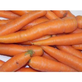 Pastanaga gran ECO ½kg a granel de Rupià