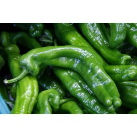 pebrot italia eco   de Rupia