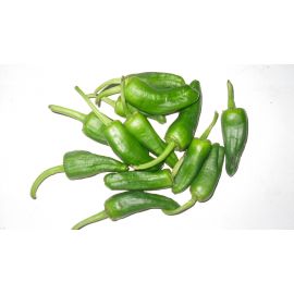 pebrot del padro eco   de Rupia