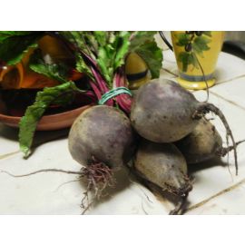 Remolatxa ECO manat de Rupià