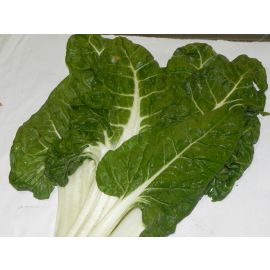 Bledes ECO de Rupià ½kg