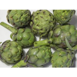 Carxofa ECO de Rupià
