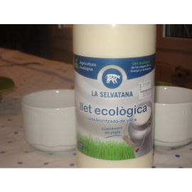 Llet freca sencera ECO pasteuritzada en ampolla de vaca