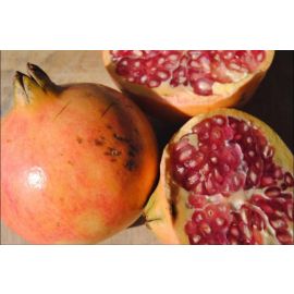 Magrana ECO de Rupià 1kg