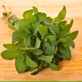 menta fresca