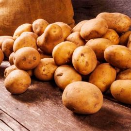 Patata jaerla ECO 5kg
