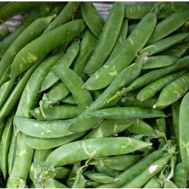 Pèsol fresc ECO de Rupià (Baix Empordà) ½kg