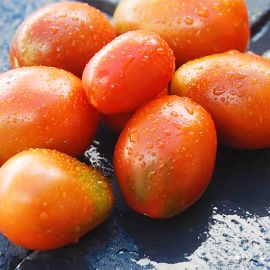  tomata eco pebrot bitxo madur    de Rupia
