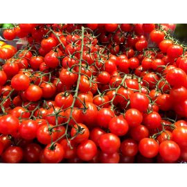 Tomàquet xerri ECO de Juneda