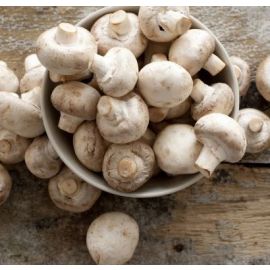 Xampinyó blanc ECO 250 gr